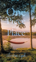 One Piece out of Place 1038370426 Book Cover