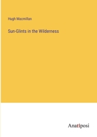 Sun-Glints in the Wilderness 3382183803 Book Cover