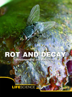 Rot And Decay: A Story Of Death, Scavengers, And Recycling 161236232X Book Cover