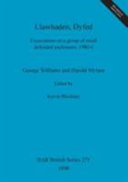 Llawhaden, Dyfed (British Archaeological Reports (BAR) British) 0860549208 Book Cover