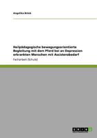 Heilp�dagogische bewegungsorientierte Begleitung mit dem Pferd bei an Depression erkrankten Menschen mit Assistenzbedarf 3640905032 Book Cover