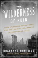 The Wilderness of Ruin 0062273485 Book Cover