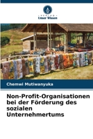 Non-Profit-Organisationen bei der Förderung des sozialen Unternehmertums 6205895838 Book Cover