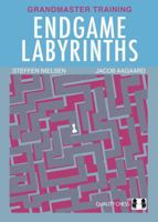 Endgame Labyrinths 1784831522 Book Cover