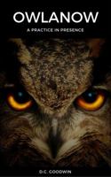 Owlanow: The Story of Now 0998709115 Book Cover