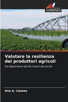 Valutare la resilienza dei produttori agricoli: Dal dipartimento del Río Cuarto alla siccità (Italian Edition) B0CKKQR8NF Book Cover