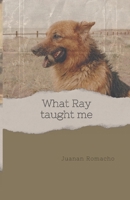 What Ray taught me B0DR58MKSP Book Cover