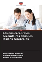 Lésions cérébrales secondaires dans les lésions cérébrales 620568568X Book Cover