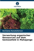 Verwertung organischer Ressourcen auf dem Gemüsefeld in Mahajanga 6205996979 Book Cover