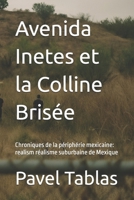 Avenida Inetes et la Colline Brisée: Chroniques de la périphérie mexicaine: realism réalisme suburbaine de Mexique B0G6542VMX Book Cover