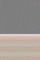 The Man Who Changed the World 1604578742 Book Cover