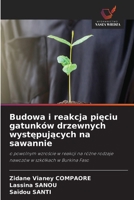 Budowa i reakcja pieciu gatunków drzewnych wystepujacych na sawannie (Polish Edition) 6630390954 Book Cover