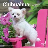 Chihuahua Puppies 2027 7 X 14 Inch (Hanging) Monthly Mini Wall Calendar B0GJV6TS73 Book Cover