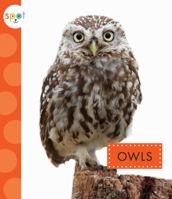 Owls 1681522195 Book Cover