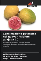 Concimazione potassica nel guava (Psidium guajava L.) (Italian Edition) 620942872X Book Cover