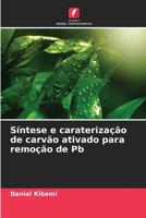 Síntese e caraterização de carvão ativado para remoção de Pb 6206302601 Book Cover