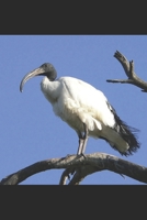 The High Priestess B096LMV4YQ Book Cover