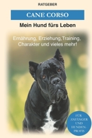 Cane Corso: Erziehung, Training, Charakter von Cane Corso - Der Cane Corso Ratgeber B089TV9LW1 Book Cover