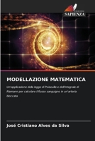 Modellazione Matematica (Italian Edition) 6209436463 Book Cover