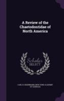 A Review of the Chaetodontidae of North America 1355784662 Book Cover