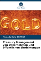 Treasury Management von Unternehmen und öffentlichen Einrichtungen (German Edition) 6206525805 Book Cover