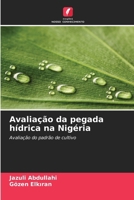 Avaliação da pegada hídrica na Nigéria (Portuguese Edition) 6208025400 Book Cover