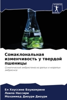 Сомаклональная изменчивость у твердой пшеницы: Соматический эмбриогенез из зрелых и незрелых эмбрионов 6206200728 Book Cover