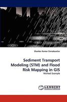 Sediment Transport Modeling (STM) and Flood Risk Mapping in GIS 3838347331 Book Cover