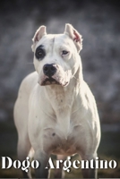 Dogo Argentino: Dog breed overview and guide B0C9S4VHWT Book Cover