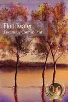 Floodwater 0984035214 Book Cover
