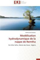 Moda(c)Lisation Hydrodynamique de La Nappe de Remtha 3841738265 Book Cover