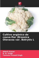 Cultivo orgânico de couve-flor (Brassica Oleracea var. Botrytis L (Portuguese Edition) 6208096251 Book Cover