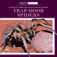 Trap-Door Spiders (Scientific American Investigates Spiders) 1725351331 Book Cover