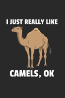 Kamel Notizbuch: Kamel Notizbuch f�r Liebhaber / Notizheft / Notizblock A5 (6x9in) Dotted Notebook / Punkteraster / 120 gepunktete Seiten 1671663489 Book Cover