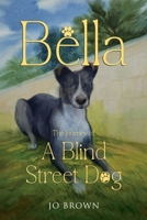 Bella, the journey of A Blind Street Dog 1787882578 Book Cover