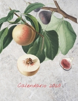 Calendario 2020: Mensile 2020 Calendario frutta illustrato con grandi immagini e date del calendario, spazi per registrare entrate, uscite, spese, date importanti, obiettivi, traguardi, realizzazioni  170979352X Book Cover