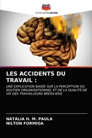 LES ACCIDENTS DU TRAVAIL :: UNE EXPLICATION BASÉE SUR LA PERCEPTION DU SOUTIEN ORGANISATIONNEL ET DE LA QUALITÉ DE VIE DES TRAVAILLEURS BRÉSILIENS 6202781173 Book Cover