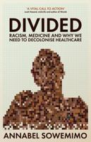Divided 1788169212 Book Cover