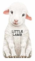 Little Lamb 0764164279 Book Cover