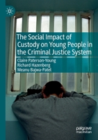 The Social Impact of Custody on Young People in the Criminal Justice System 3030184242 Book Cover