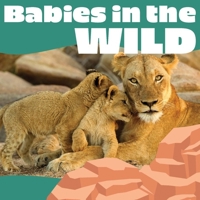 Babies in the Wild 1945296798 Book Cover