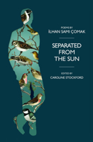 Separated from the Sun 1739772237 Book Cover