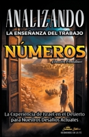 Analizando la Enseñanza del Trabajo en Números: La Experiencia de Israel en el Desierto para Nuestros Desafíos Actuales B0BWJQ79GK Book Cover