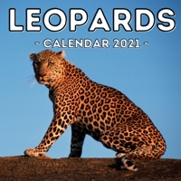 Leopards Calendar 2021: 16-Month Calendar, Cute Gift Idea For Leopard Lovers Women & Men B095GLRYLV Book Cover