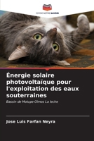 Énergie solaire photovoltaïque pour l'exploitation des eaux souterraines 6206977331 Book Cover