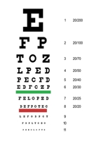 Snellen Eye Chart Planner: Monthly Planner for Optometrists, Ophthalmologists, or Opticians 1706829760 Book Cover