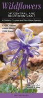 Wildflowers of Central & Southern Utah: A Guide to Common & Rare Native Species 1936913135 Book Cover