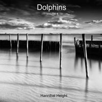 Dolphins - Volume 4 0244388377 Book Cover