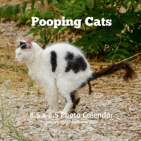 Pooping Cats 8.5 X 8.5 Calendar January 2021 -December 2021: Cats Cover Monthly Calendar with U.S./UK/ Canadian/Christian/Jewish/Muslim Holidays ... Gift Idea White Elephant Party, Santa Secret null Book Cover