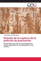 Estudio de La Ruptura de La Pelicula de Pasivacion 3659062340 Book Cover
